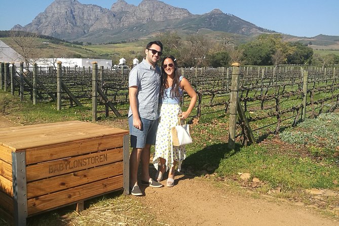 Best of the Winelands Private Tour - Customizing the Wine Tasting Experience