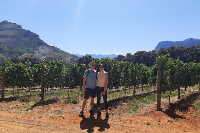 Best of the Winelands Private Tour - Premium Wine Tastings Included