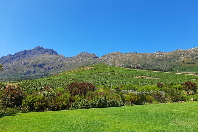 Best of the Winelands Private Tour - Private Transportation and Wine Guide