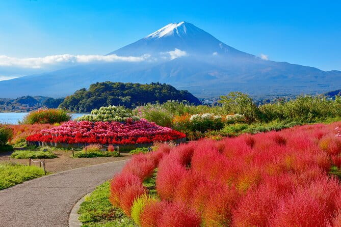 Best of Tokyo Affordable Budget 3 Days Private Tour With Guide - What to Bring