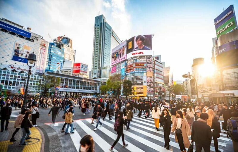 Best of Tokyo: Guided Half Day City Tour with a local - Who Is This Tour Best For?
