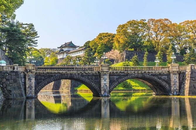 Best of Tokyo in a Day Small Group Tour - Inclusions and Services