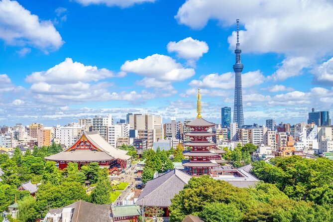 Best of Tokyo in a Day Small Group Tour - Key Attractions