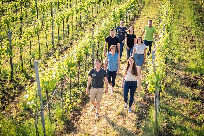 Best of Tuscany: Full Day Private Tour to Val DOrcia - Traveler Reviews and Feedback