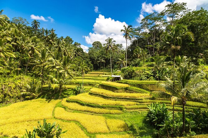 Best of Ubud 1-Day Private Tour - Included in the Tour