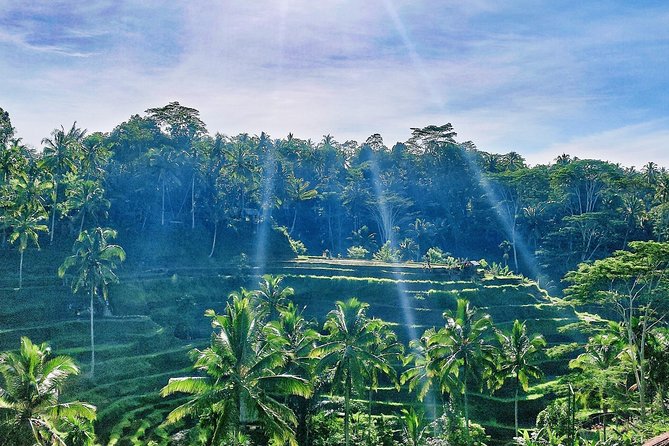 Best of Ubud - Full Day Tour + FREE WI-FI - Inclusions