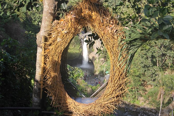 Best of Ubud - Full Day Tour + FREE WI-FI - Health and Accessibility