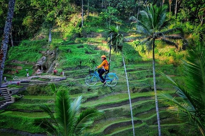 Best of Ubud - Full Day Tour + FREE WI-FI - Booking and Cancellation Policy