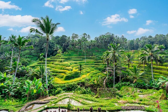 Best of Ubud Full-Day Tour With Entry Tickets - Tirta Empul Temple Visit