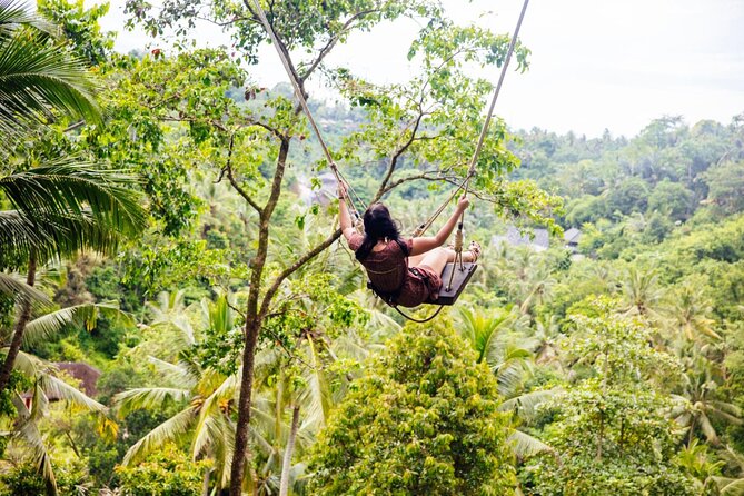 Best of Ubud Full-Day Tour With Entry Tickets - Inclusions and Considerations