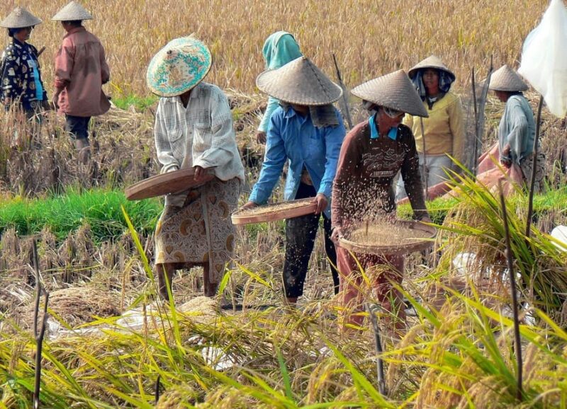 Best of Ubud Hightlights Tours-All Inclusive... - Whats Included