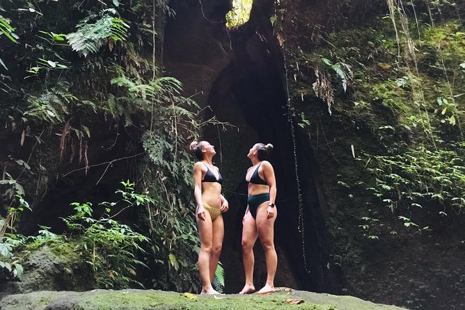 Best of Ubud Intagram Waterfalls With Jungle Swing and Lunch - Tegenungan Falls