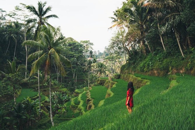 Best of Ubud: Nature, Culture and Temples Tour - Explore Ubuds Nature