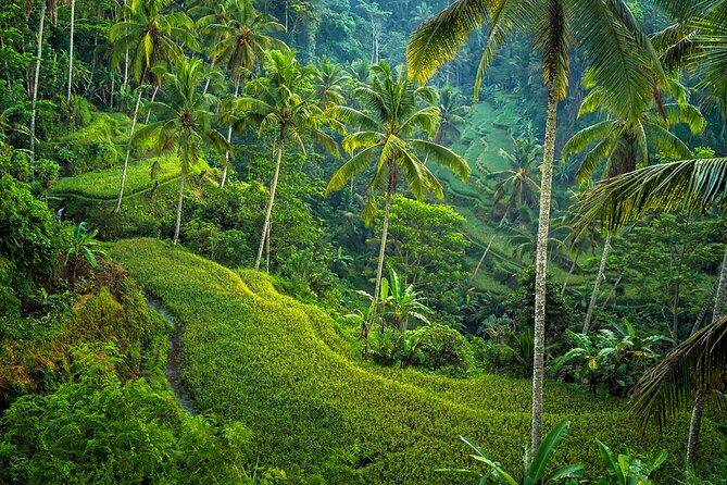 Best of Ubud: Nature, Culture and Temples Tour - Immerse in Balinese Culture