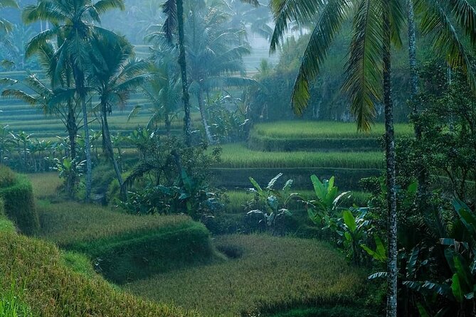 Best of Ubud: Private All-Inclusive Tour With Jungle Swing - Meeting and Pickup Information