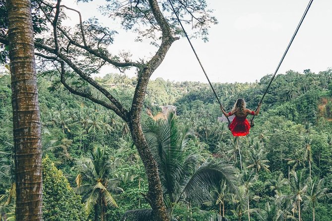 Best of Ubud: Private All-Inclusive Tour With Jungle Swing - Booking Information