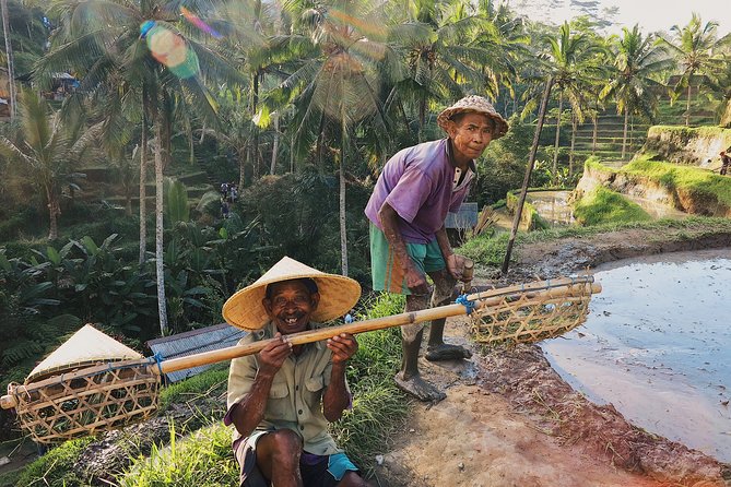 Best of Ubud: Private All-Inclusive Tour With Jungle Swing - Discovering Tegenungan Waterfall