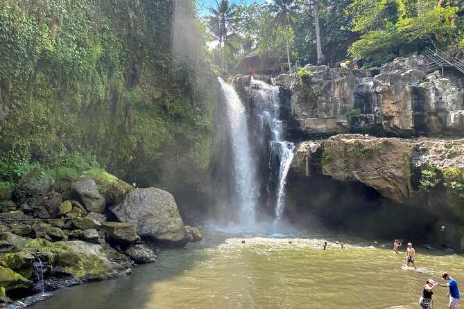 Best Of Ubud Rice Terrace And Waterfall Private Guided Tour - Free Cancellation