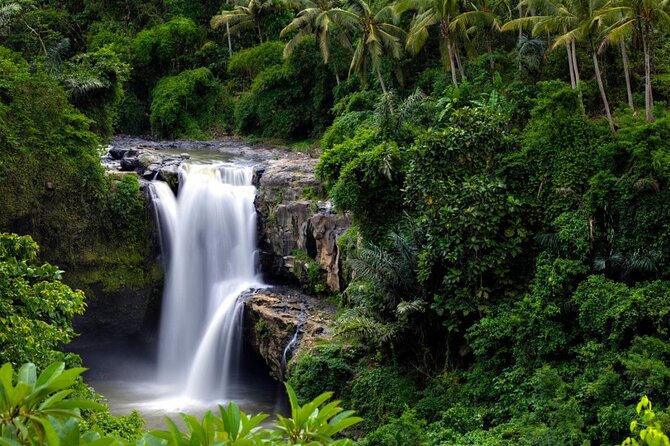 Best of Ubud: Rice Terrace, Temple and Waterfall Private Tour - Ubud Monkey Forest