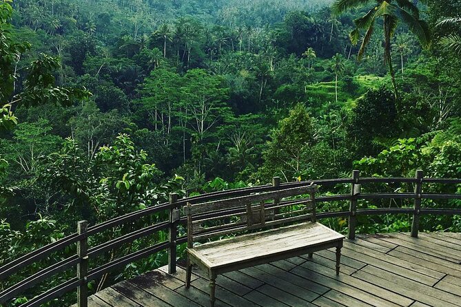 Best of Ubud: Rice Terrace, Temple and Waterfall Private Tour - Travelers Feedback