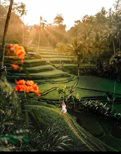 Best of Ubud Rice Terrace, Waterfall, Temple and Art Village - Key Points