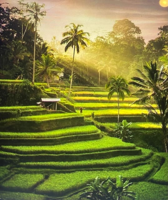 Best of Ubud Rice Terrace, Waterfall, Temple and Art Village - Coffee Plantation