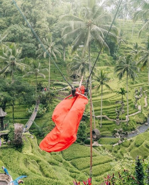 Best of Ubud Rice Terrace, Waterfall, Temple and Art Village - Experience and Features