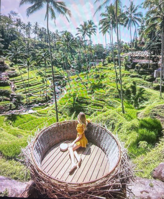 Best of Ubud Rice Terrace, Waterfall, Temple and Art Village - Participant Information