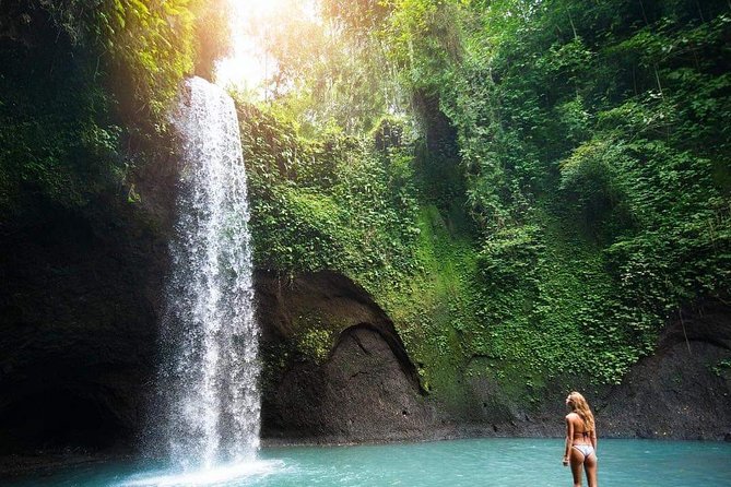 Best of Ubud : Temples & Waterfalls All Inclusive - Inclusions and Pricing