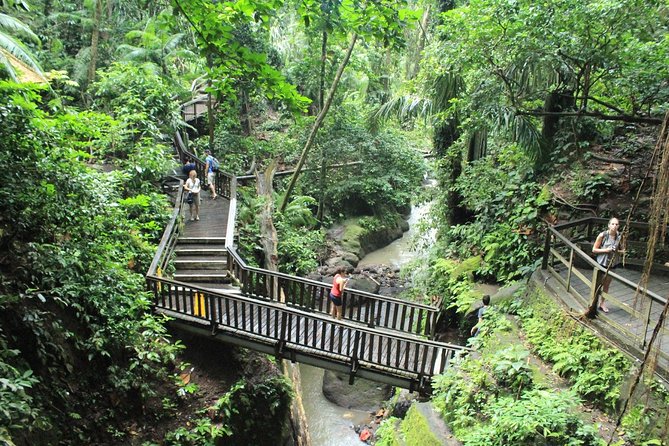 Best of Ubud Tour : Private Ubud Traditional Tours - Attraction: Sacred Monkey Forest