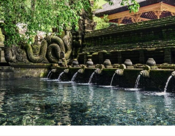 Best of Ubud Tour With Jungle Swing - Pickup and Drop-off Locations