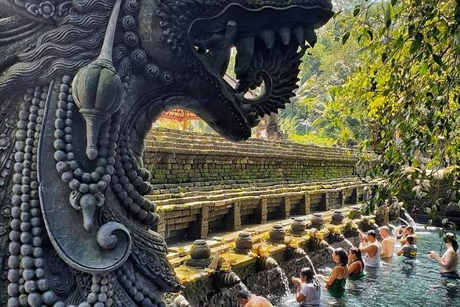 Best of Ubud Tour With Jungle Swing - Tour Details