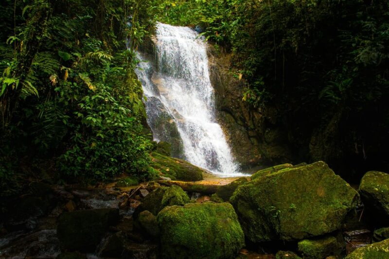Best of Ubud Tour With Jungle Swing - Itinerary Highlights