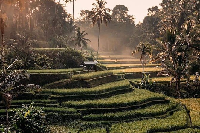 Best of Ubud Waterfalls, Tegalalang Rice Terrace and Swing Tour - Discovering Tibumana Waterfall