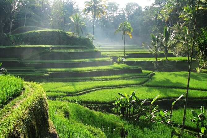 Best of Ubud: Waterfalls, Temple & Rice Terraces Private Day Tour - FAQ