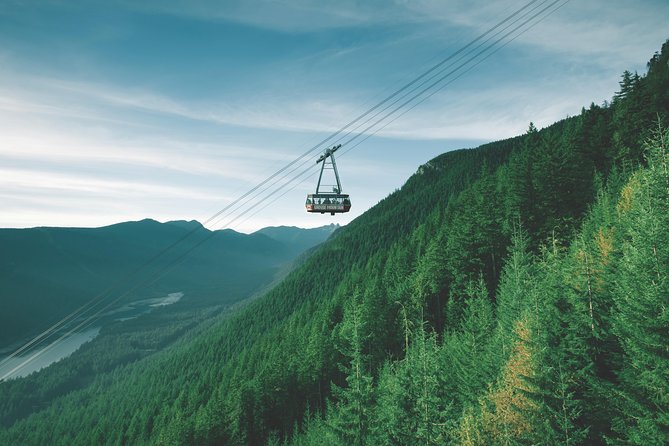 Best of Vancouver Small-Group Tour W/Capilano + Grouse Mtn Lunch - Attractions: Stanley Park, Capilano, and Grouse Mountain