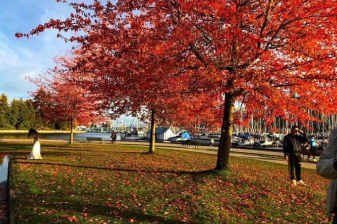 Best of Vancouver & the Lookout Private Tour - Tour Exclusions