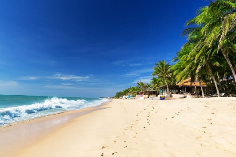Best of Vung Tau Private Tour From Phu My Port - Meeting Point and Recommendations