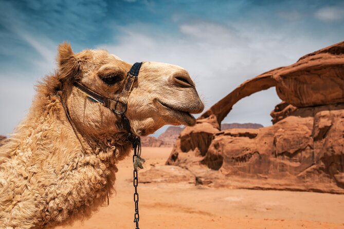 Best of Wadi Rum | Full Day Jeep Tour + Sleep Under the Stars | Pack All-In - Comfortable Private Vehicle Transportation
