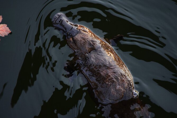 Best of Wildlife and Birds Tour - Inclusions and Logistics