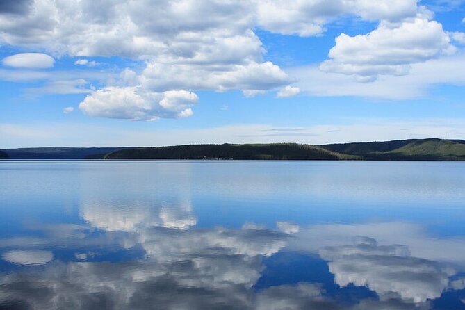 Best Of Yellowstone Full Day Natl Park Tour From Bozeman - Professional Naturalist Guide