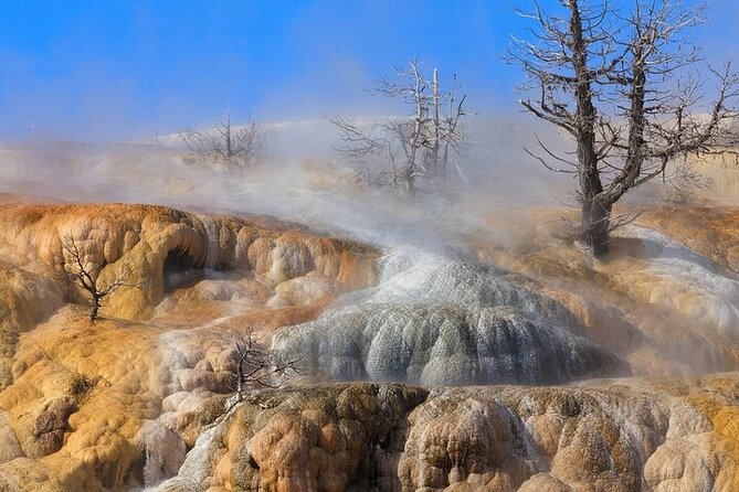 Best Of Yellowstone Full Day Natl Park Tour From Gardiner - Negative Customer Feedback
