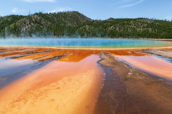 Best of Yellowstone - Guided National Park Safari Tour - Wildlife Viewing