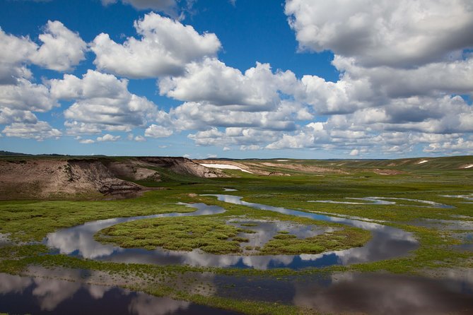 Best of Yellowstone - Guided National Park Safari Tour - Tour Details