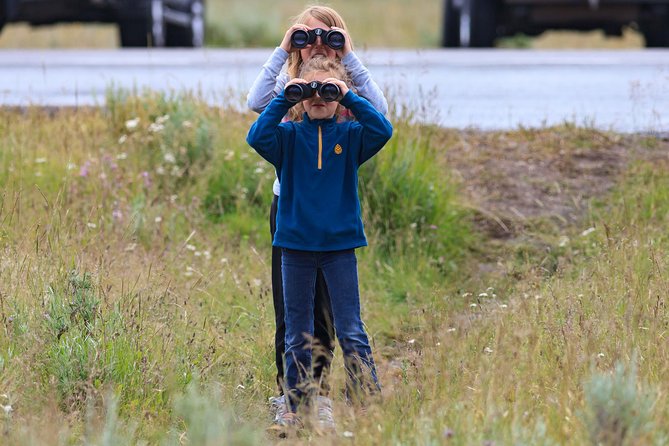 Best of Yellowstone - Guided National Park Safari Tour - Age Requirement