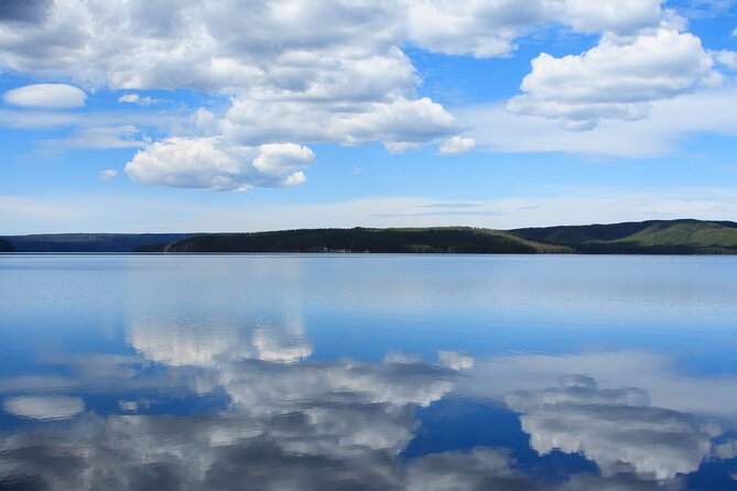 Best of Yellowstone Guided Tour From Bozeman - Private Tour - Accessibility and Minimum Travelers