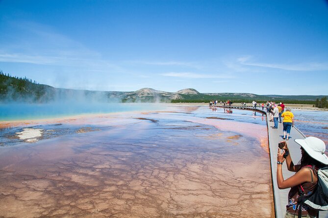 Best of Yellowstone National Park From Gardiner - Private Tour - Pricing and Group Size