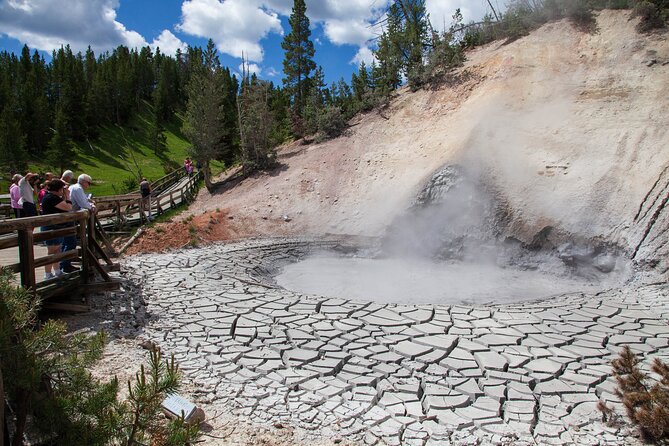 Best of Yellowstone Natl Park Tour From Paradise Valley - Reviews Summary