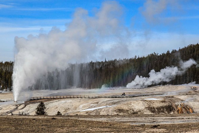 Best of Yellowstone Private National Park Safari Tour - Wildlife Sightings