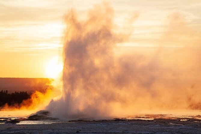 Best of Yellowstone Tour From Paradise Valley - Private Tour - Key Points